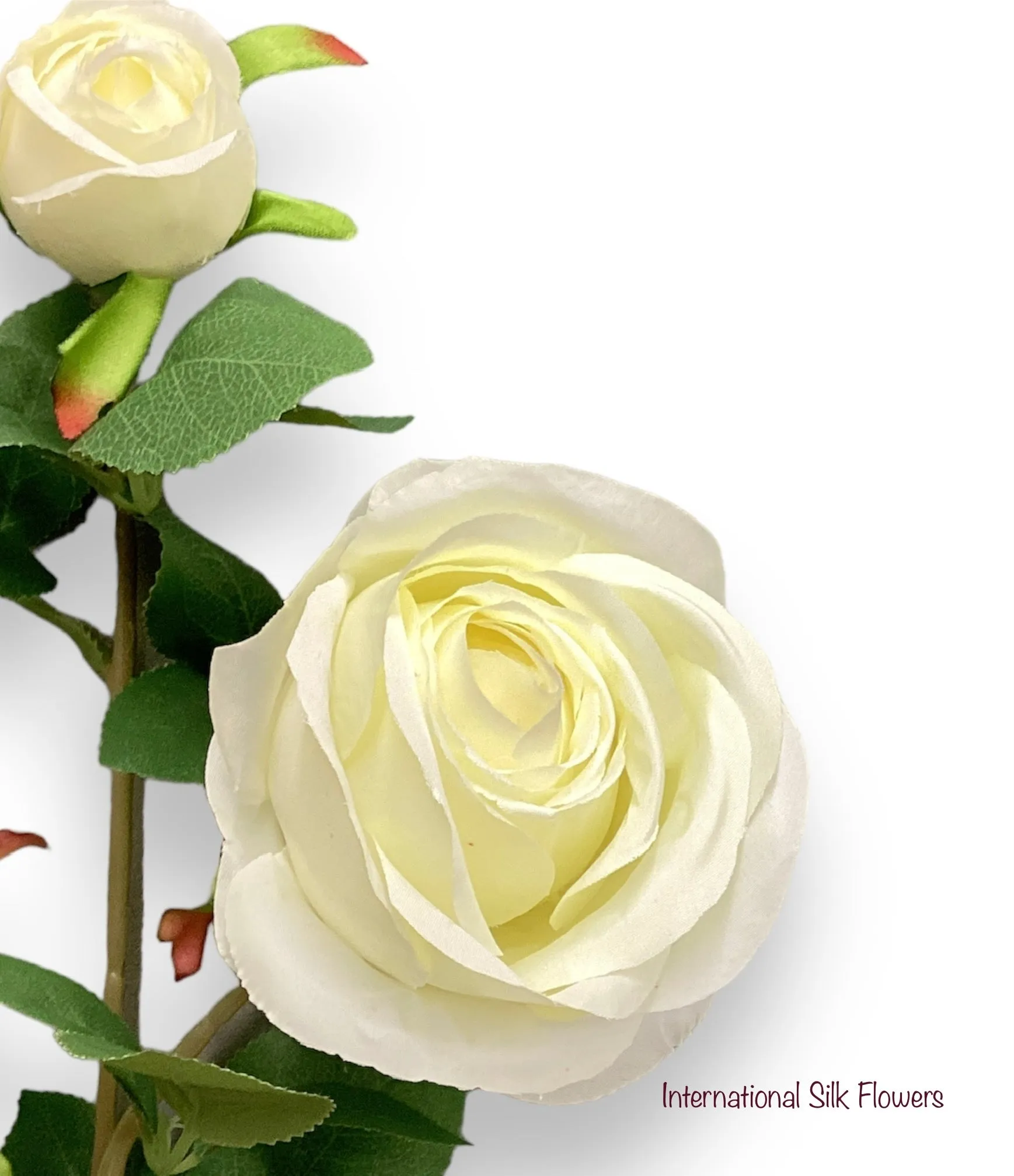 26'' Single Stem Rose ( J1049-Cream )