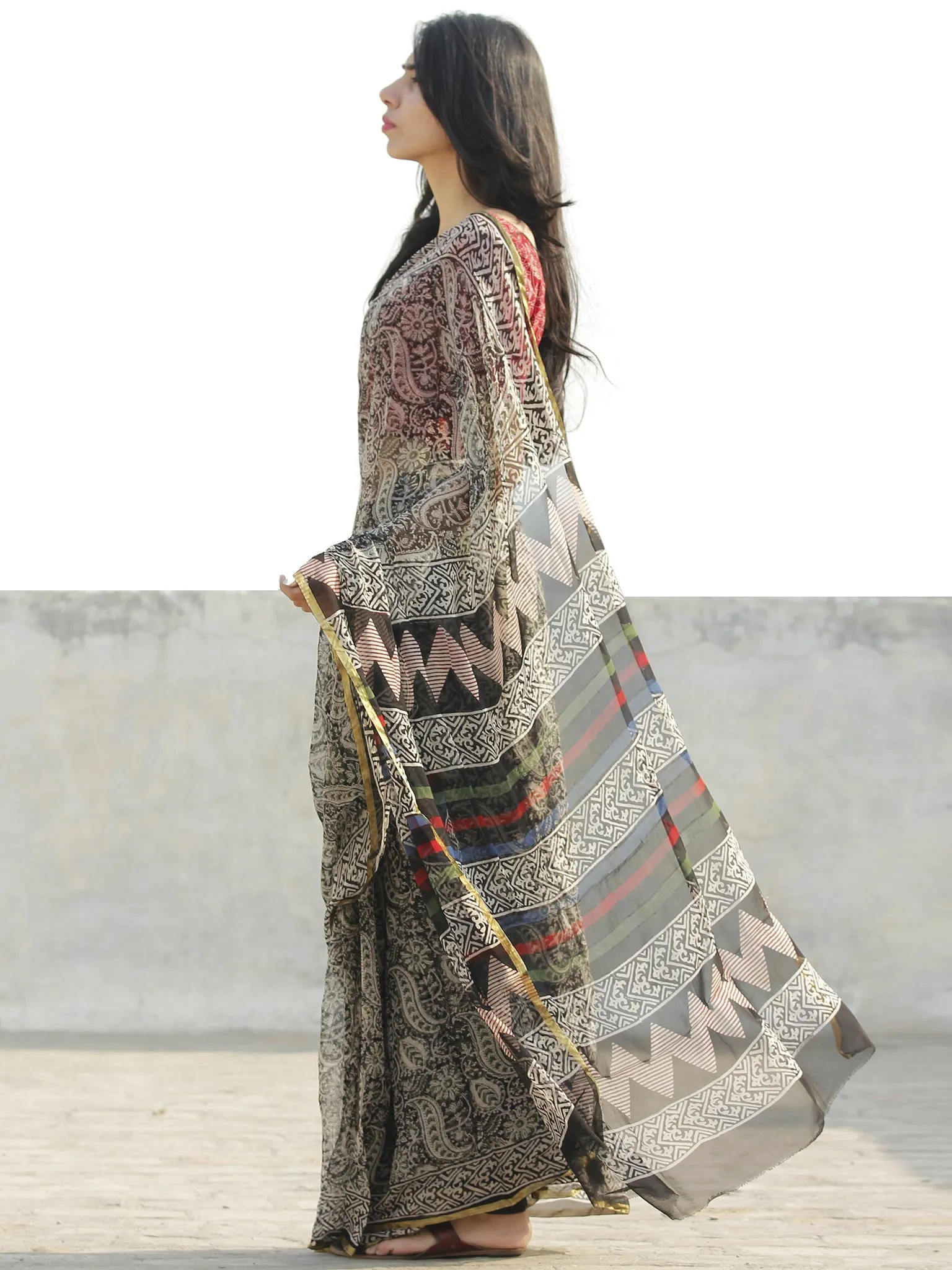 Black Beige  Hand Block Printed Chiffon Saree with Zari border- S031702684