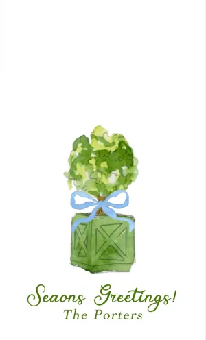 Boxwood Topiary with Blue Bow Tag
