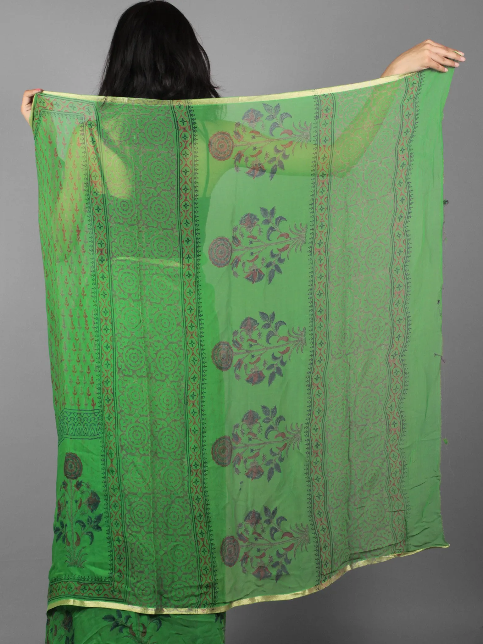 Green Blue Maroon Hand Block Printed Chiffon Saree - S031701897