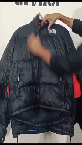 Premium The North Face Puffer Jackets 700 and 800 Nuptse
