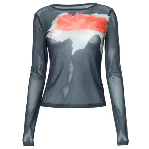 See Through Mesh Print Graphic Tee Shirt Y2k 2000s Aesthetic Abstract Floral Print Long Sleeve Tops Women P85-AI10