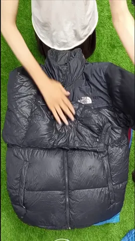 The north face Puffers 100 Pcs