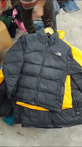 TNF Alpha Industries Bomber and Puffer Jackets  37 Pieces