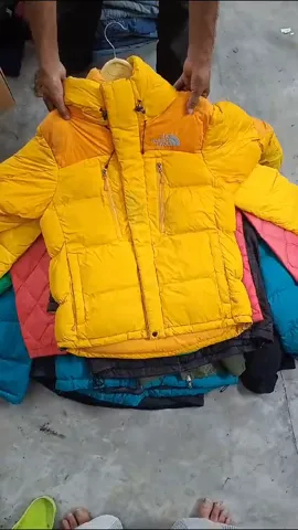 TNF Alpha Industries Bomber and Puffer Jackets  37 Pieces